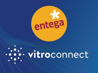 Open Access im Glasfaserausbau