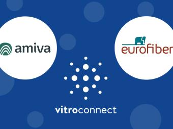vitroconnect ermöglicht Open-Access-Zusammenarbeit von Eurofiber Netz und Amiva – Bitstrom-Kooperation seit Januar 2026 live